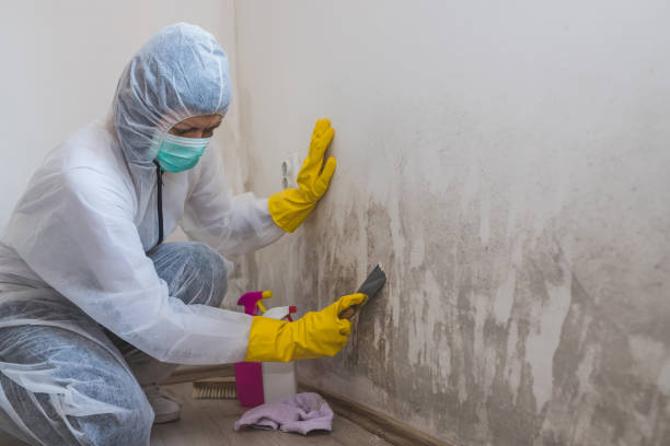 Crawl Space Mold Removal in San Carlos Park, FL