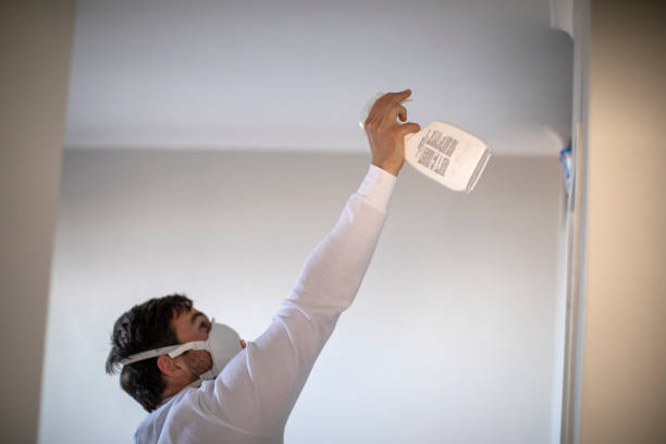 Best Residential Mold Removal  in San Carlos Park, FL