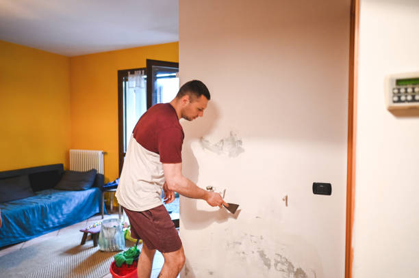 Best Best Mold Removal Companies  in San Carlos Park, FL